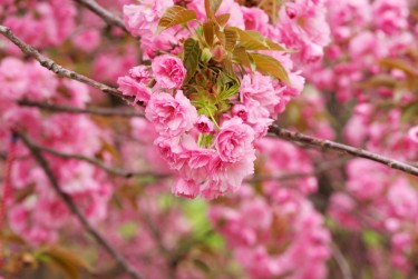嘉兴秀洲区1线下个人借款平台一站式服务，轻松解决资金难题