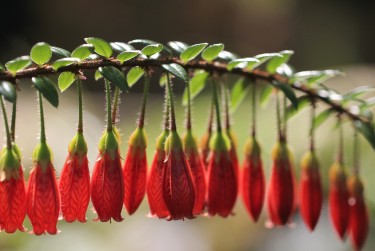 嘉兴秀洲区1零用贷短借：轻松解决临时资金需求