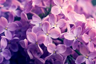 嘉兴秀洲区1企业急用钱贷款攻略：快速融资解燃眉之急